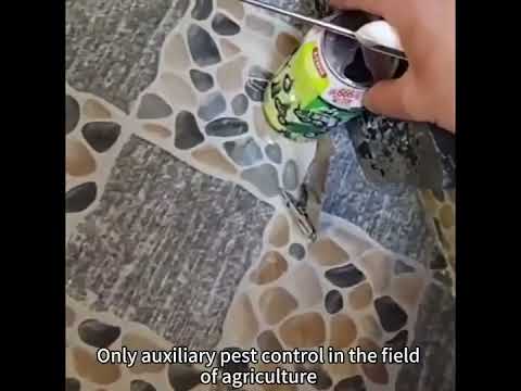 Test Video